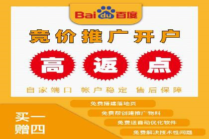 案例对比：不同竞价广告平台的优劣